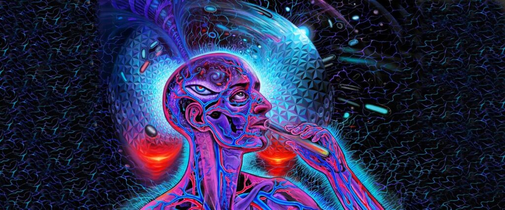 dmt carts